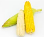 Corn Stock Photo