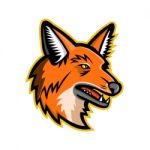 Maned Wolf Mascot Stock Photo