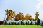 Golden Dragon Statue In Suphan Buri, Thailand Stock Photo