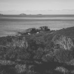 View Of Bruny Island Beach During The Day Stock Photo