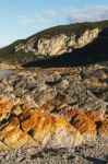 Beautiful View Of Rocky Cape, Tasmania Stock Photo