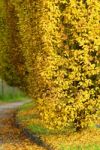 Autumnal Landscape Stock Photo