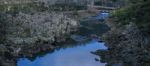 Cataract Gorge During The Day Stock Photo