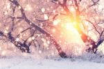 Color Snowflakes On Snowy Background Stock Photo