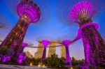 Singapore - Feb 11 , 2017 : Super Tree In Garden By The Bay, Singapore Stock Photo