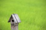 Birdhouse With Green Backdrop Stock Photo