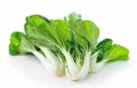 Pok Choi Isolated On White Background Stock Photo