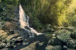 Kondalilla Falls In Kondalilla Falls National Park Stock Photo