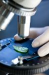 Observation Of A Green Leaf With A Microscope Stock Photo