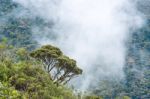 Clouds Envelop The Hills Near Macas, Andes. Ecuador Stock Photo