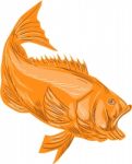 Largemouth Bass Diving Drawing Stock Photo