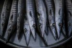 Close Up Arrangement For Sale In Sea Food Market Of  Indo-pacific King Mackerel, Spotted Mackerel, Seerfish Stock Photo