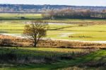 Evening Sunshine On Pulborough Brooks Stock Photo