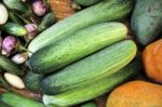 Green Cucumber Stock Photo