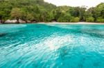 Honeymoon Bay And Beach In Similan Island, Thailand Stock Photo