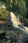 Kondalilla Falls In Kondalilla Falls National Park Stock Photo