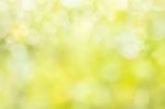 Bokeh Green Background Stock Photo