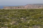 Coastline Landscape Of Sagres Stock Photo