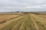 Hadrians Wall Northumberland Stock Photo