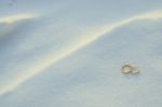 Wedding Rings In The Snow Stock Photo