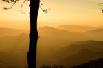 Silhouette Tree With Sunrise Background Stock Photo