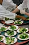 Salad Preparation Stock Photo