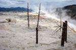 View Of Mammoth Hot Springs Stock Photo