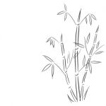 Bamboo Branches Hand Drawn  Illustration Stock Photo