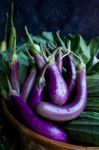 Fresh Healthy Eggplants On Dark Background Stock Photo