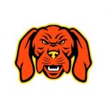 Hungarian Vizsla Dog Mascot Angry Stock Photo