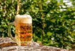 Glass Mug With Beer Standing On The Big Stone Stock Photo