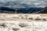 Mammoth Hot Springs Stock Photo