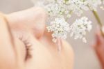 Woman Smelling White Flower Stock Photo