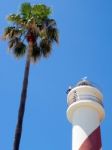 Marbella, Andalucia/spain - May 4 : View Of The Lighthouse In Ma Stock Photo