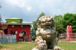 Lion Statue Stock Photo