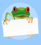 Red Eyed Tree Frog Stock Photo