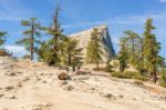 Half Dome In Yosemite National Park, California, Usa Stock Photo