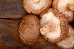 Shiitake Mushrooms Stock Photo