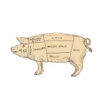 Vintage Pork Meat Cut Map Drawing Stock Photo