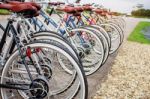 Wheel Of Bicycle In Park Stock Photo