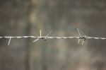 Close Up Of Iron Barbed Wire Stock Photo