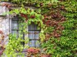 Hever, Kent/uk - September 16 : Window At Hever Castle In Hever Stock Photo