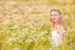 Blond Girl On The Camomile Field Stock Photo