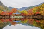 Naejangsan,korea - November 1: Tourists Taking Photos Of The Beautiful Scenery Around Naejangsan Park,south Korea During Autumn Season On November 1, 2015 Stock Photo