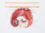 Octopus In Zipper Bag Stock Photo