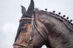 Jumping Horse Head Stock Photo