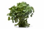 Bunch Of Fresh Watercress Stock Photo