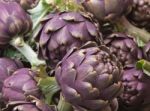 Close Up Of Purple Artichokes Stock Photo