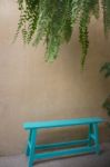 Vintage Green Bench And Hanging Plant Stock Photo