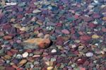 Colourful Stones In Lake Mcdonald Stock Photo